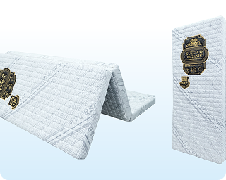 Trần Minh Phương